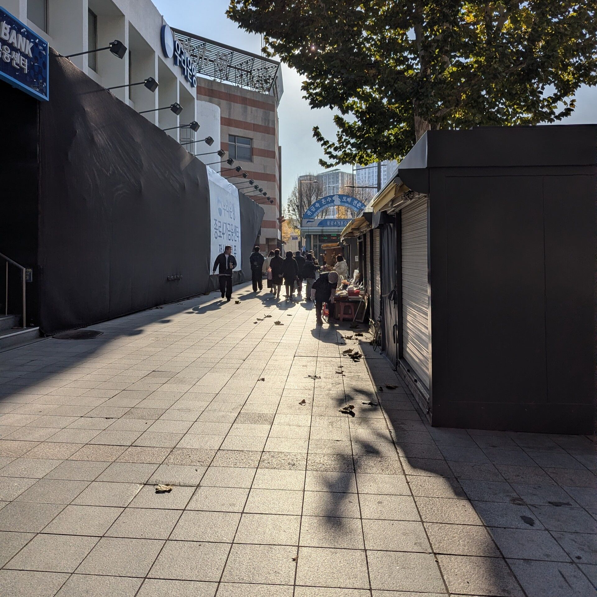 PXL_20251122_060244452