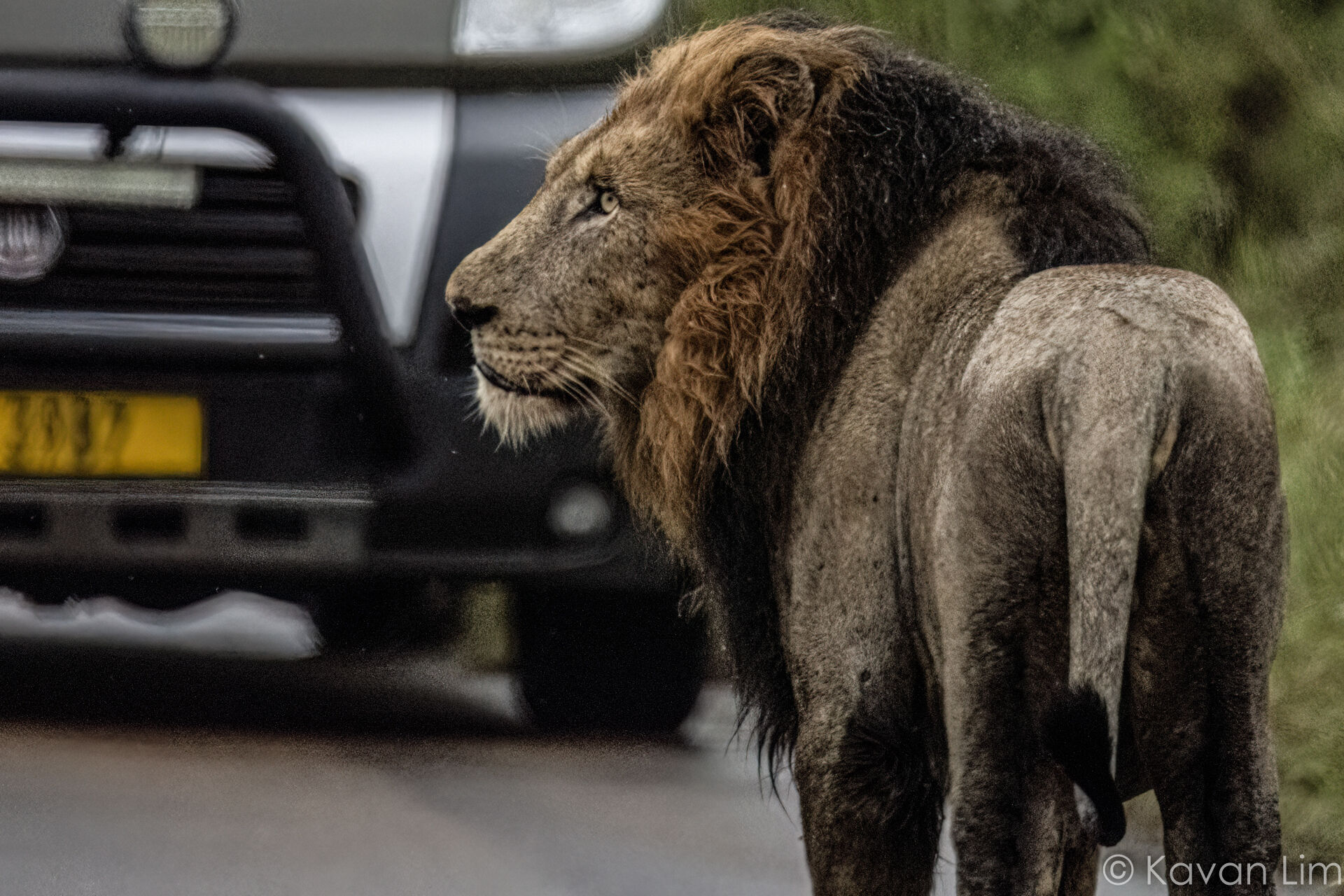 Southern Africa Batch 1 (100 of 109)