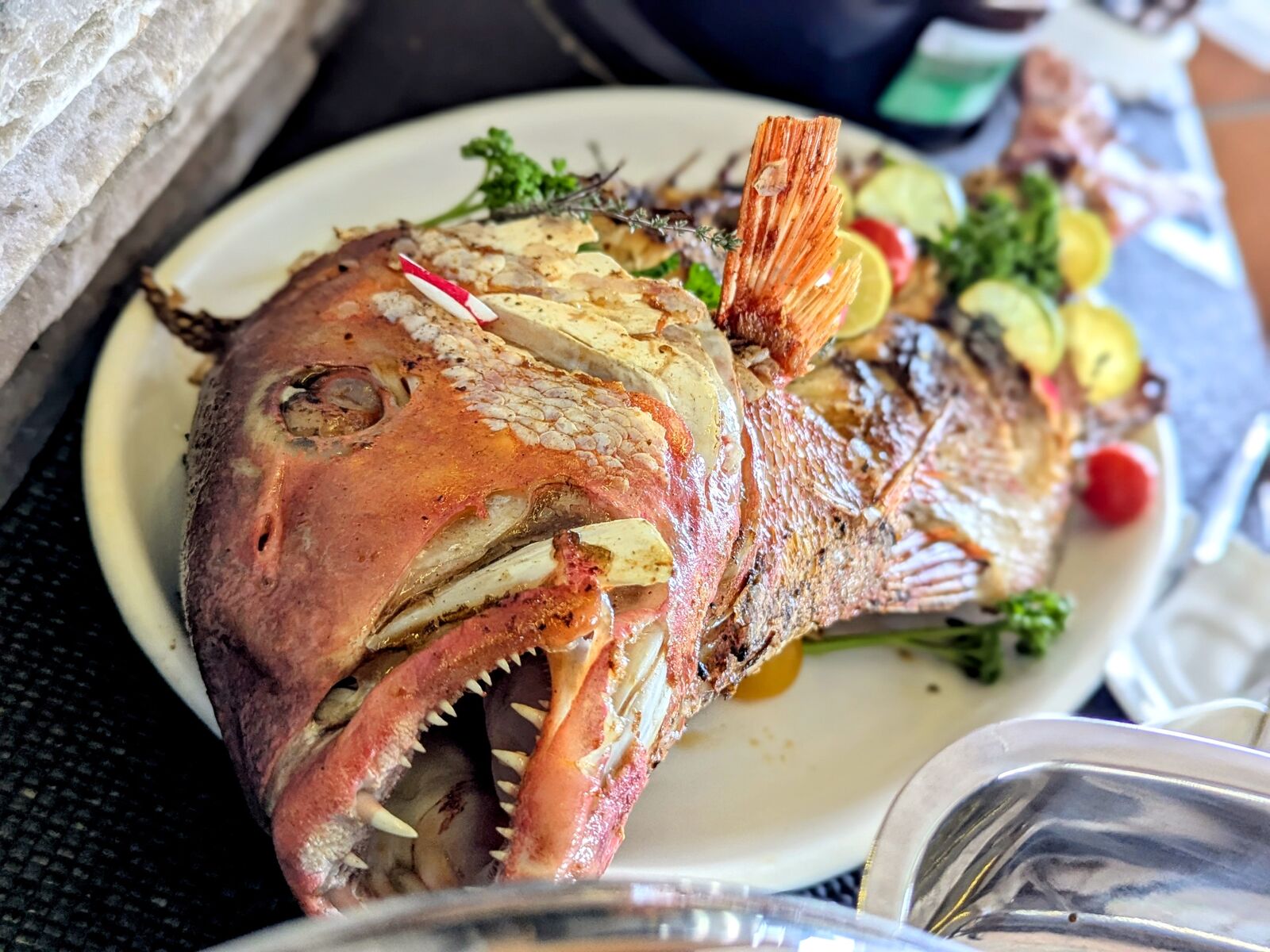 PXL_20241230_081143319.PORTRAIT~2