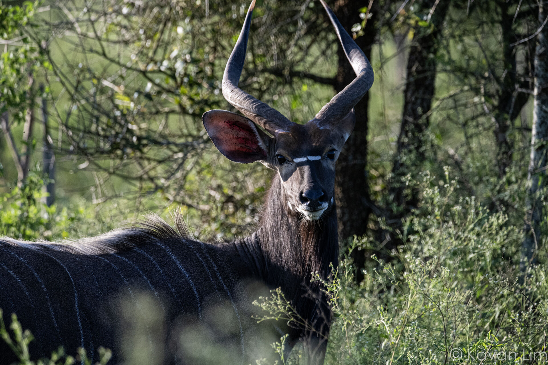 Southern Africa Batch 1 (20 of 109)