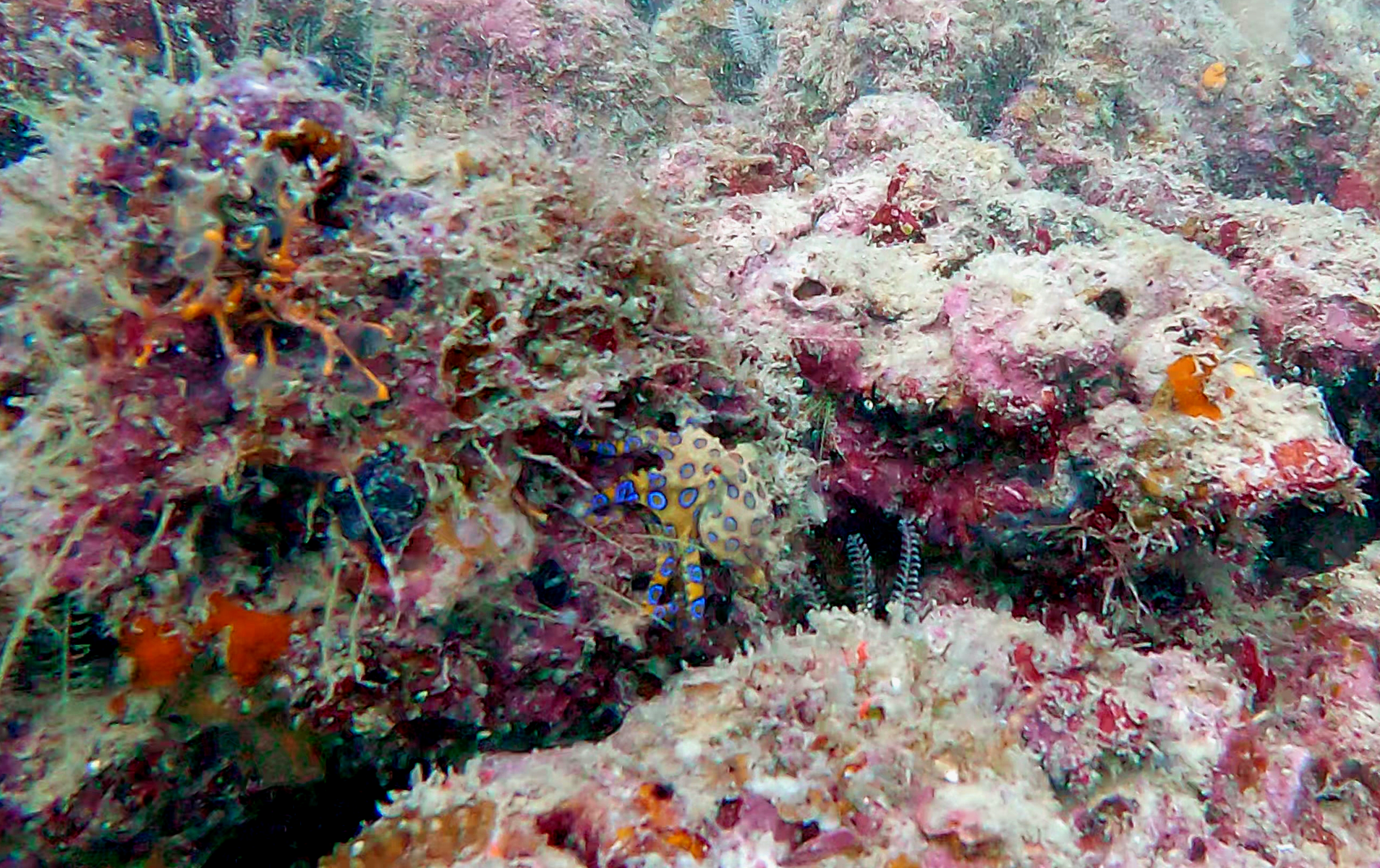 1673922889268347180933 (2023-01-17T14_55_40.018)