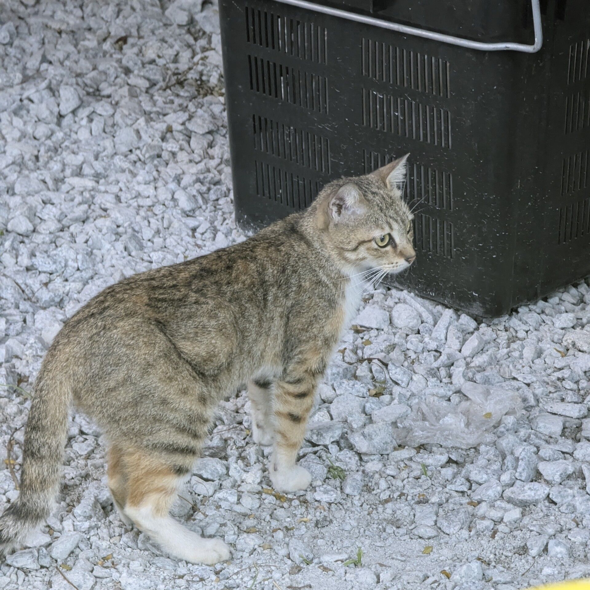 PXL_20250709_115536344