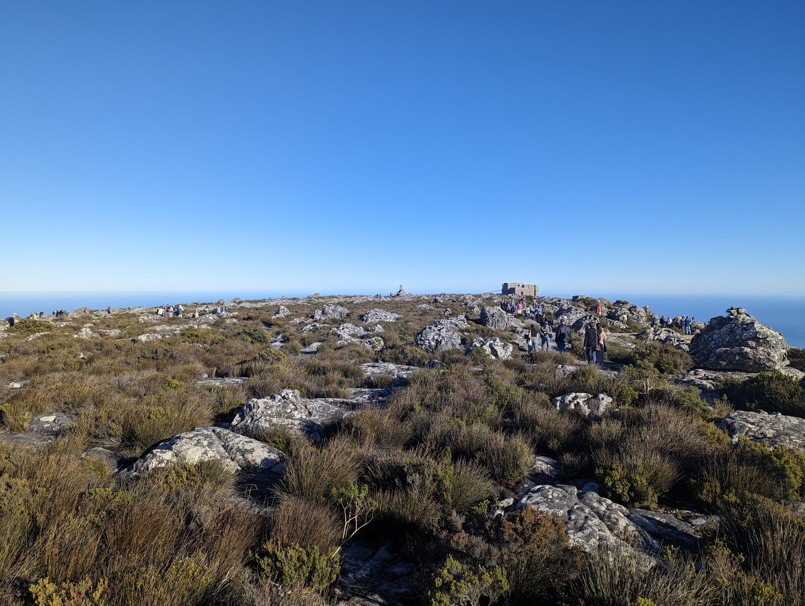 PXL_20240412_064312639