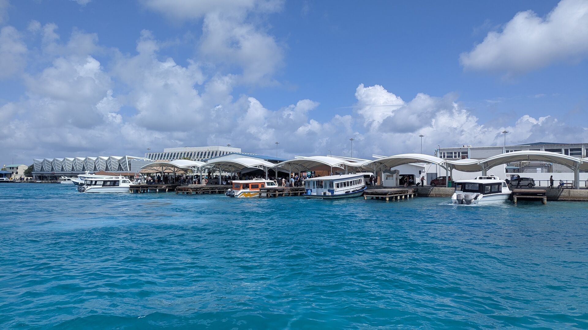 PXL_20241229_082618834