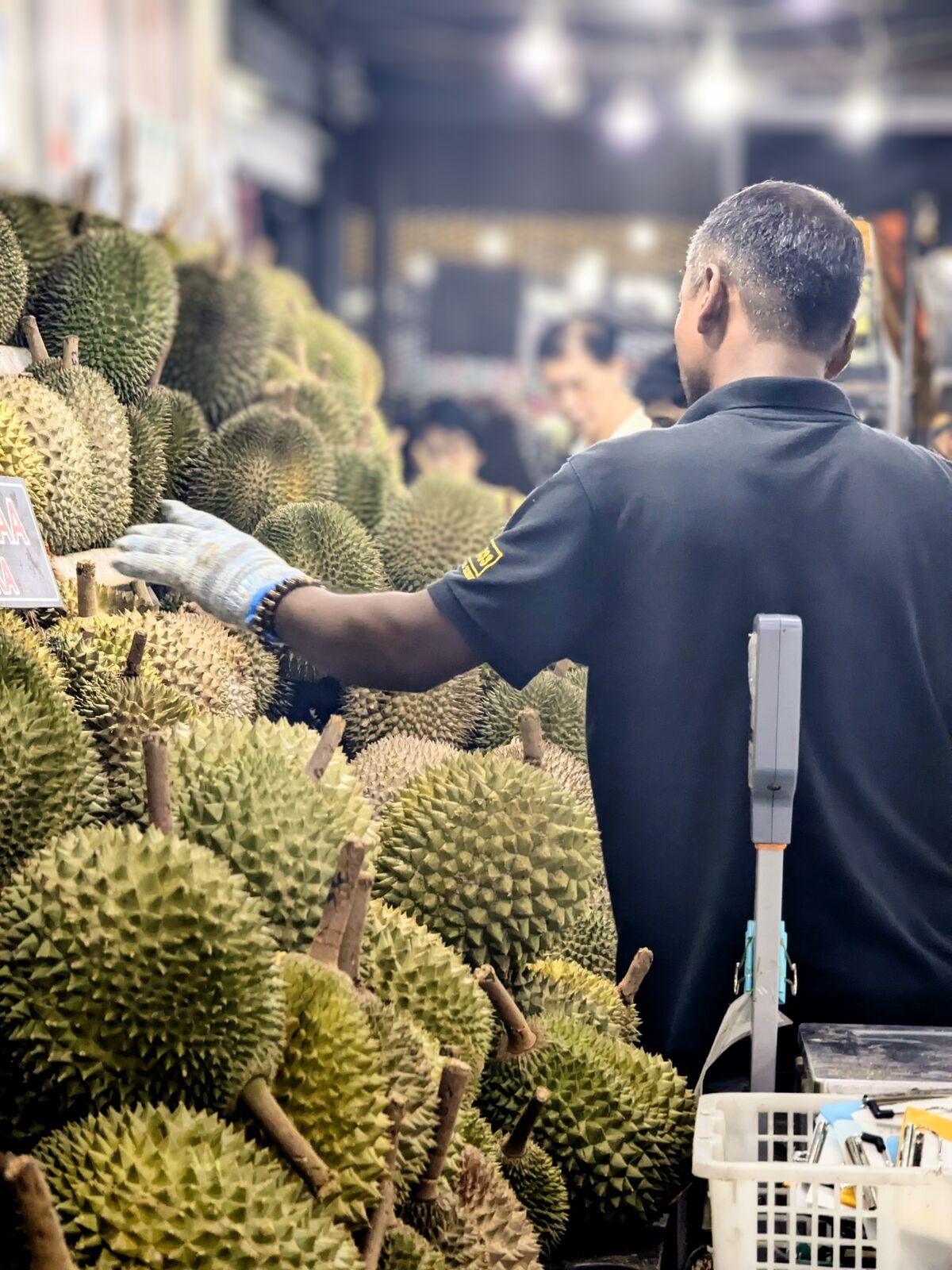 PXL_20240808_124256508~3