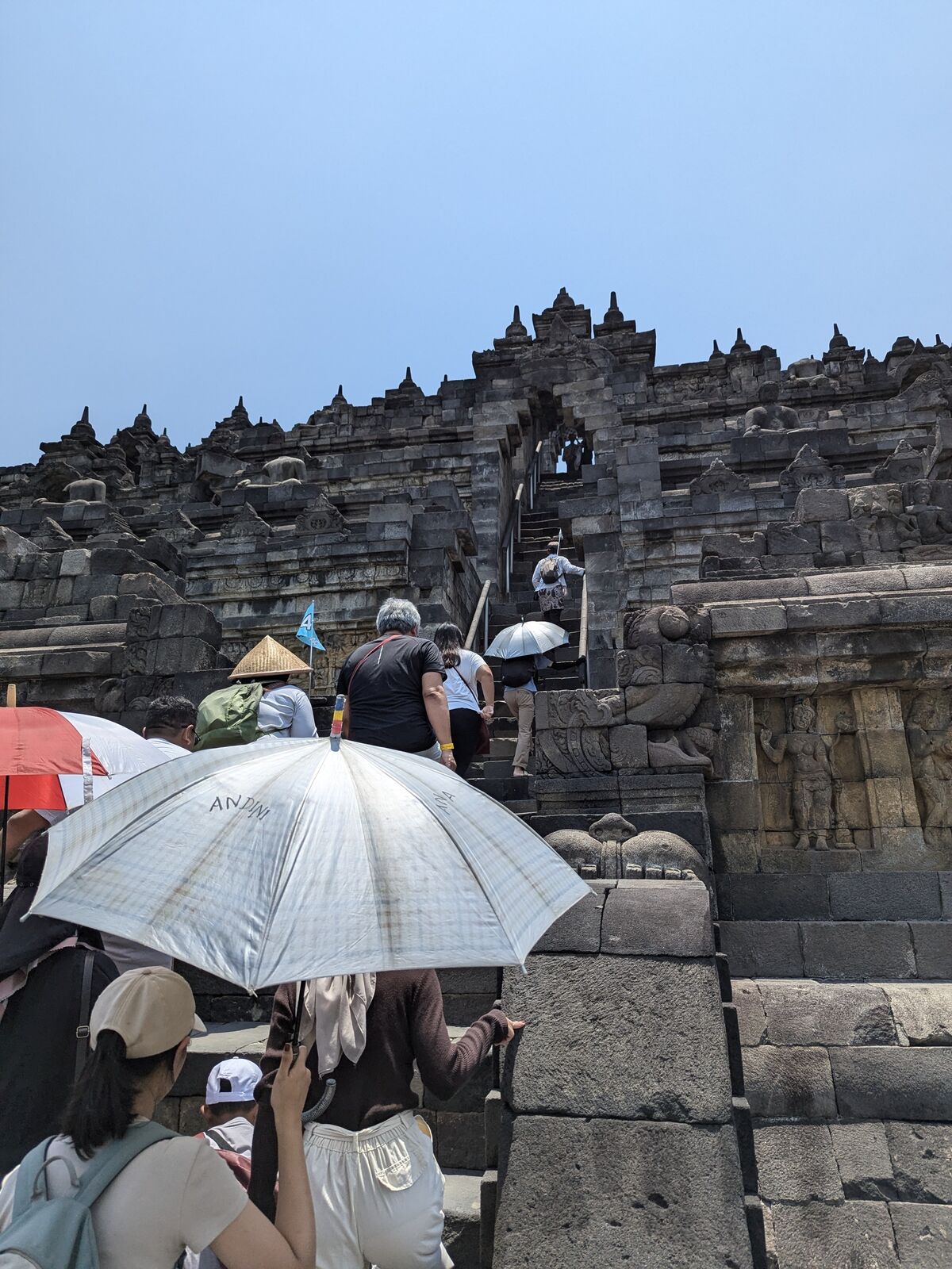 PXL_20241013_050015253