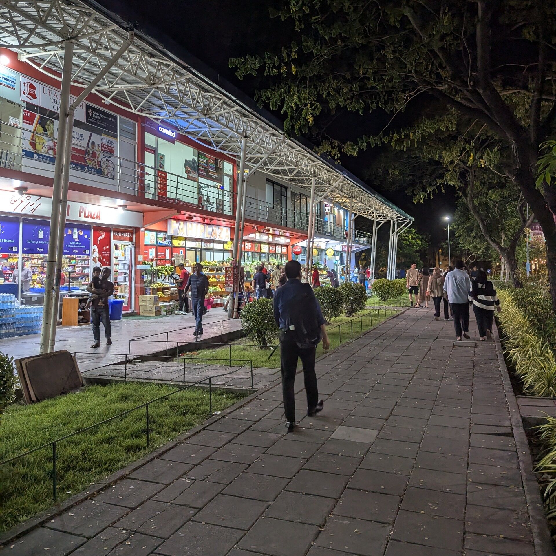 PXL_20241228_170137624.NIGHT