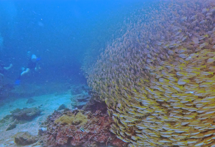 スクリーンショット 2024-05-19 150141~2