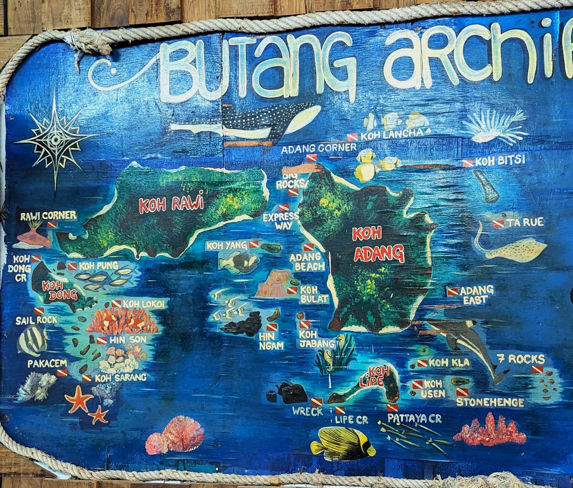 PXL_20240212_012148049