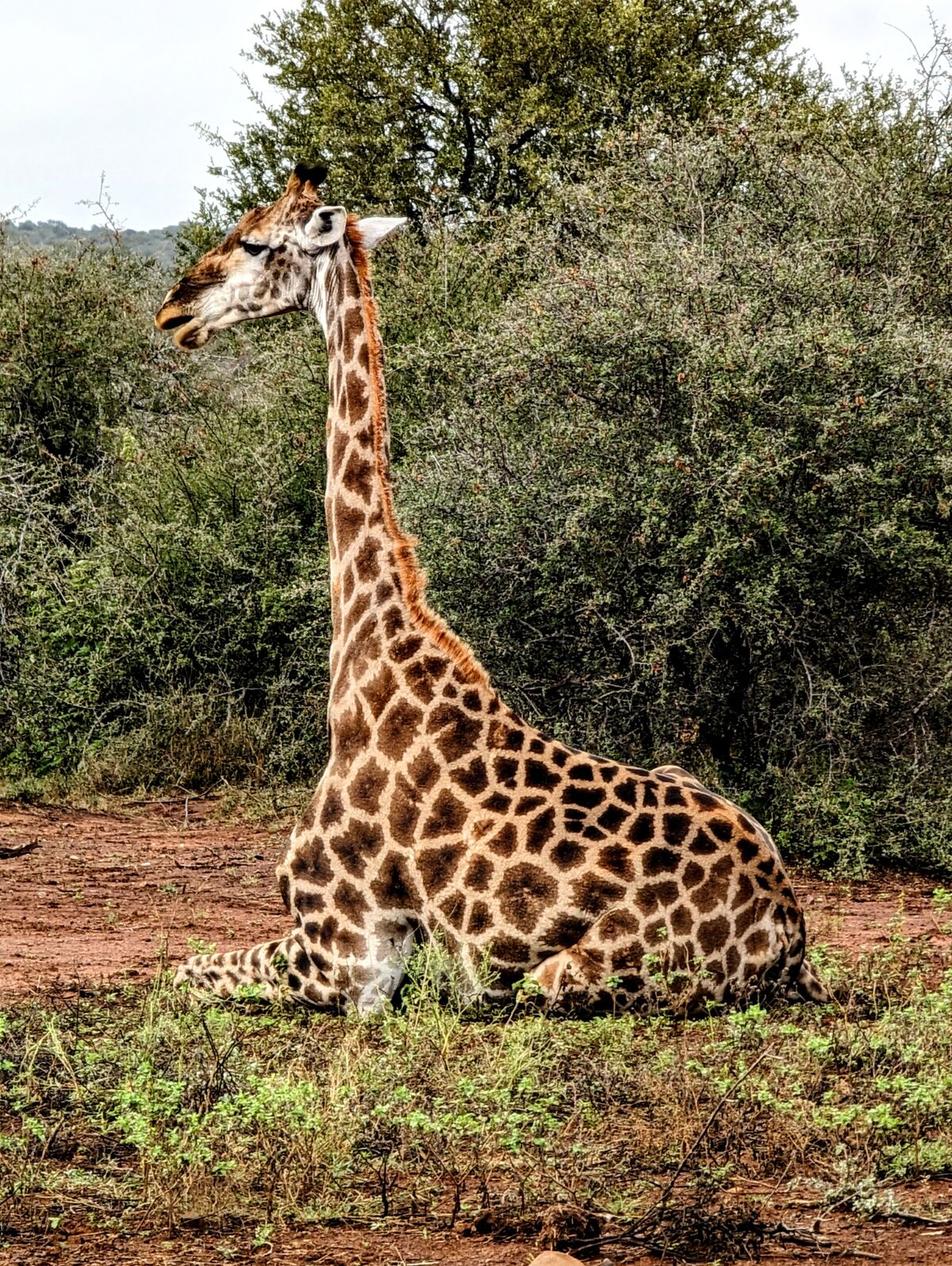 PXL_20240408_065850827~2