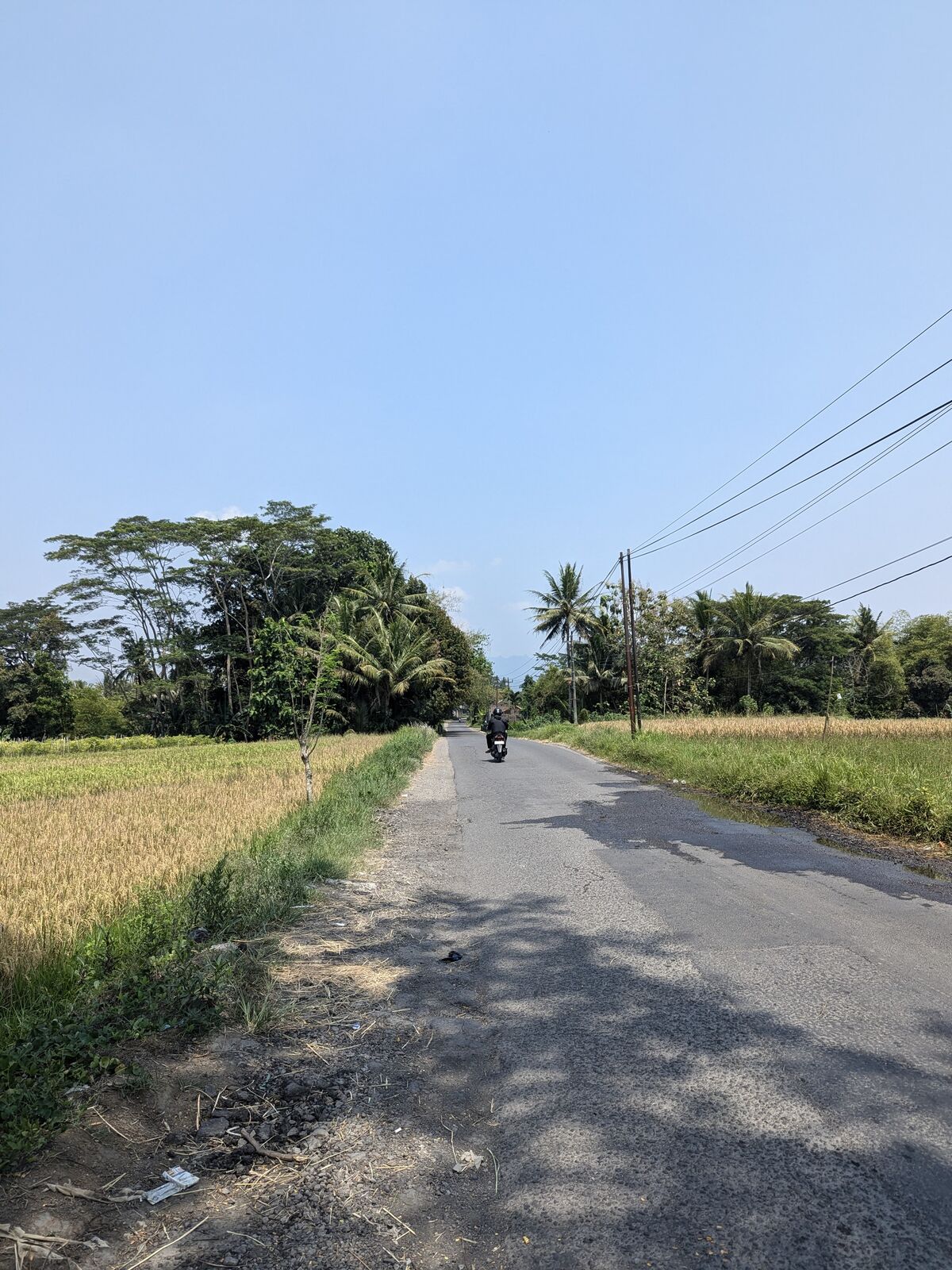 PXL_20241013_025949087