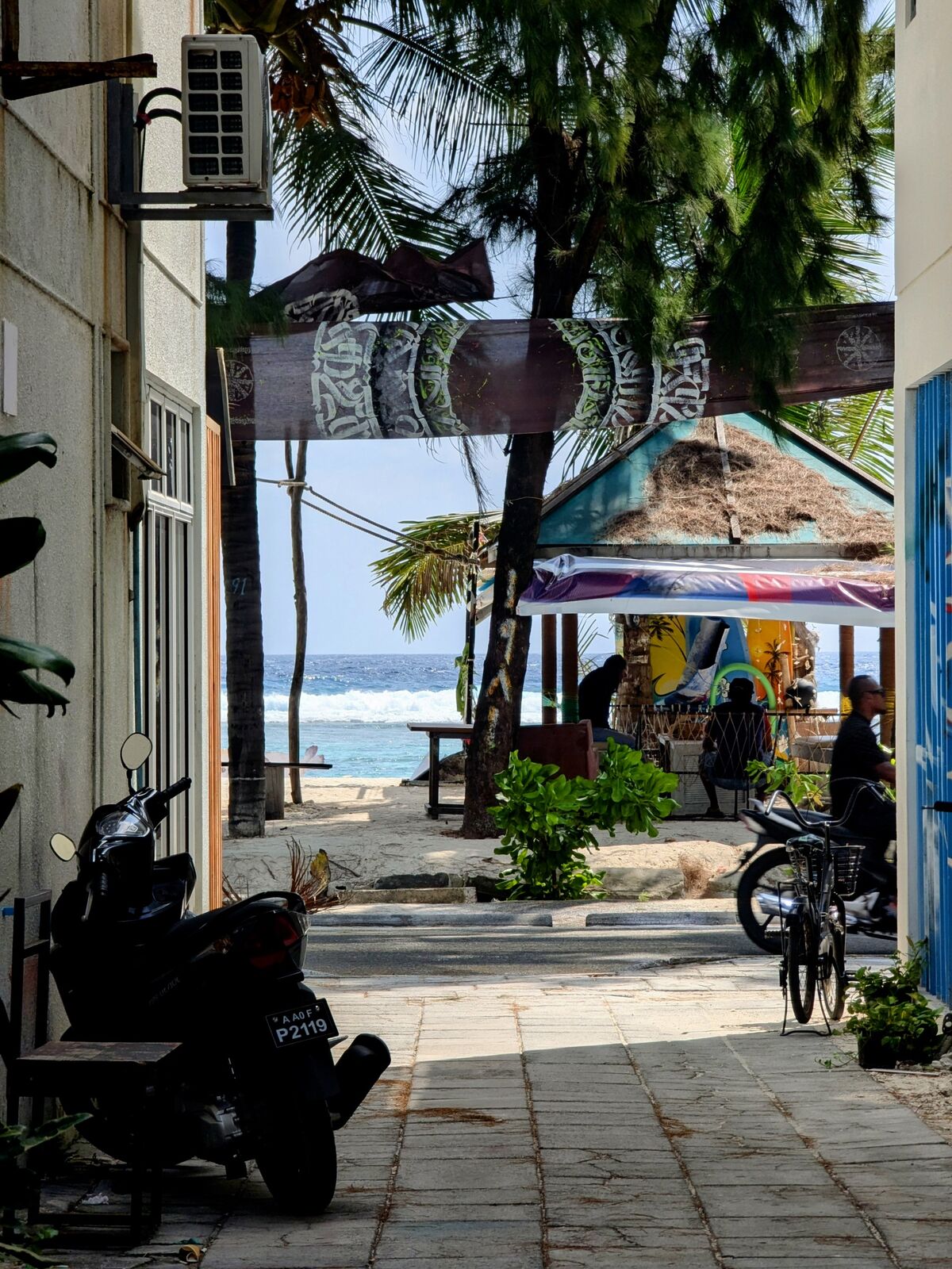 PXL_20241229_054736066~2