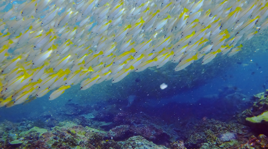 スクリーンショット 2024-05-19 150209~2