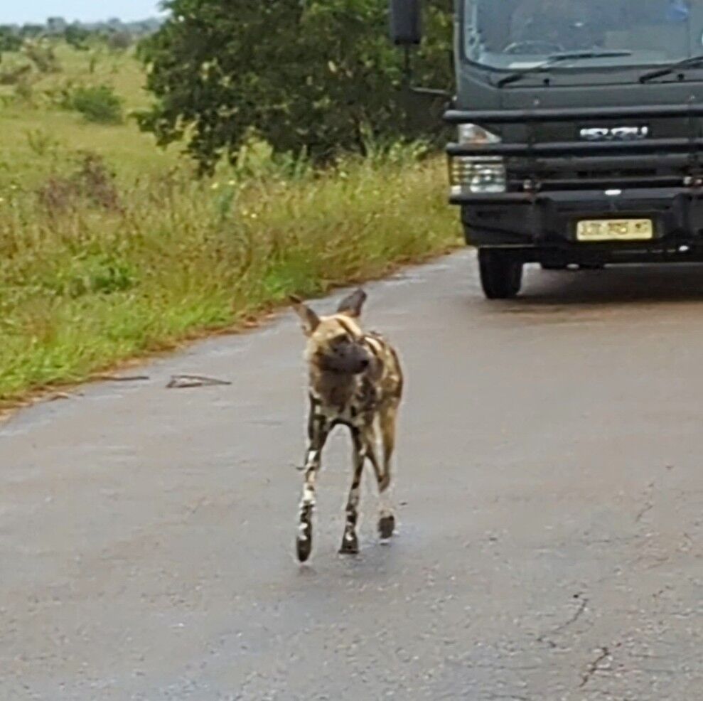 PXL_20240409_051416550_exported_501~2