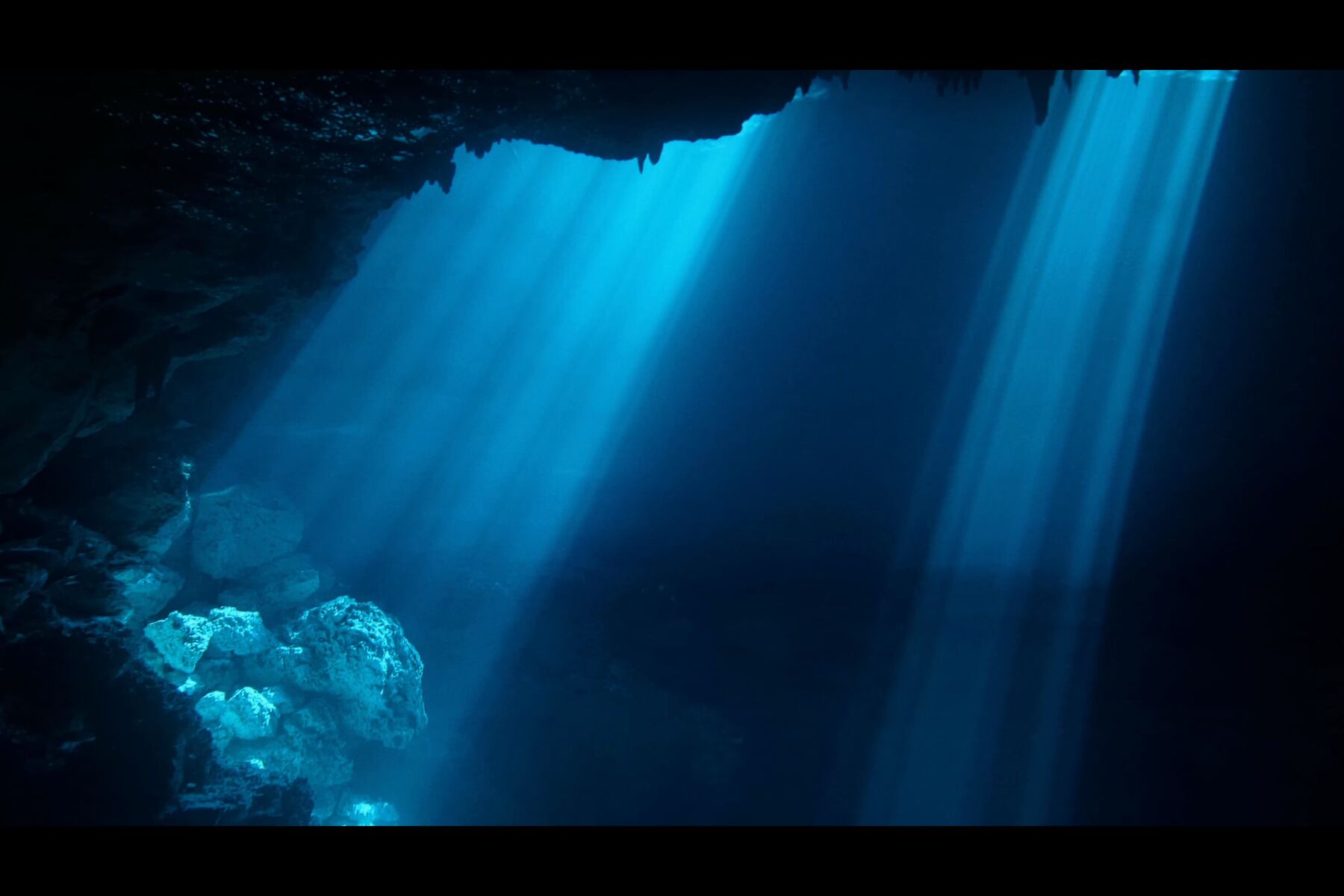 Cenote - frame at 3m38s