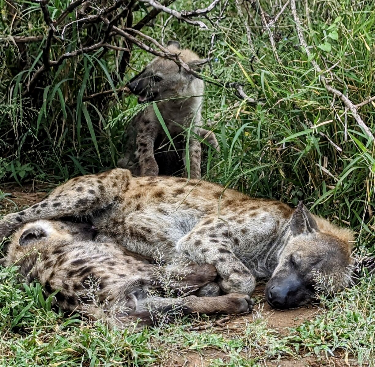 PXL_20240406_064121706~2