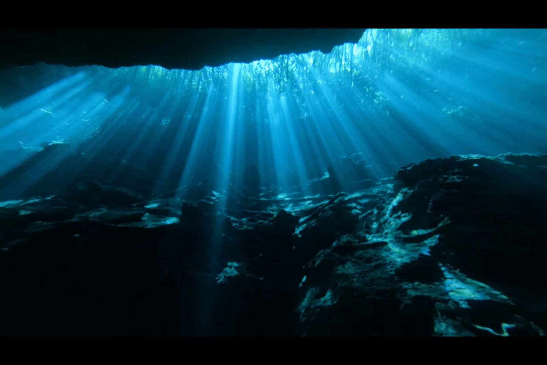 Cenote - frame at 0m53s