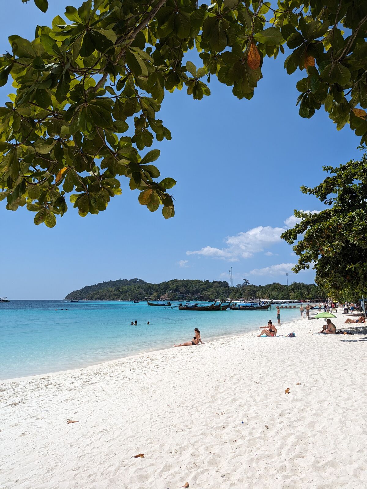 PXL_20240213_062529625