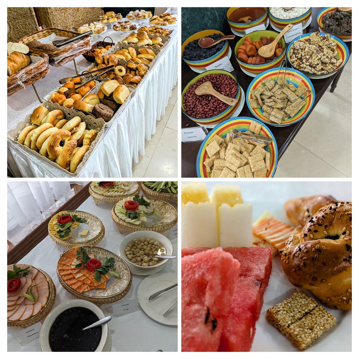 20230826_145427-COLLAGE