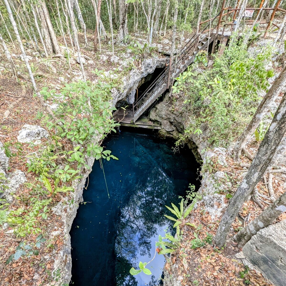 PXL_20250501_135356112~2