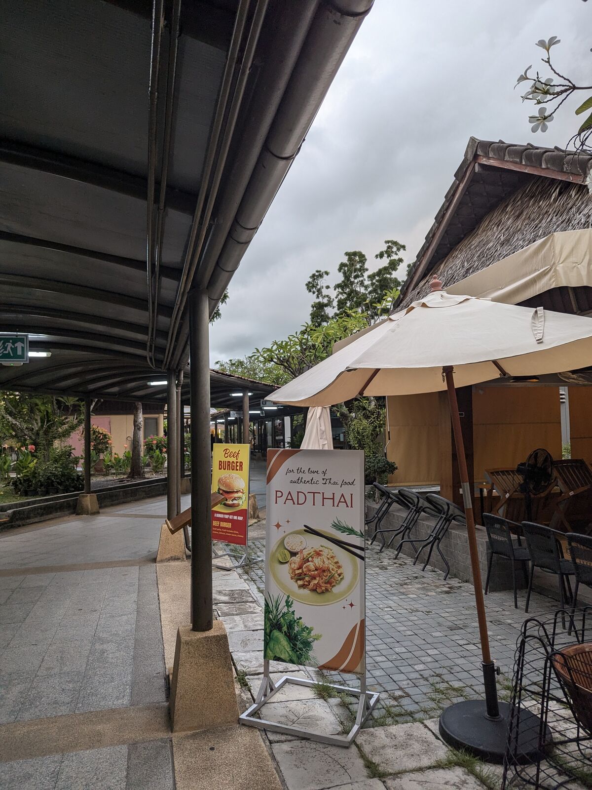 PXL_20240817_231312101