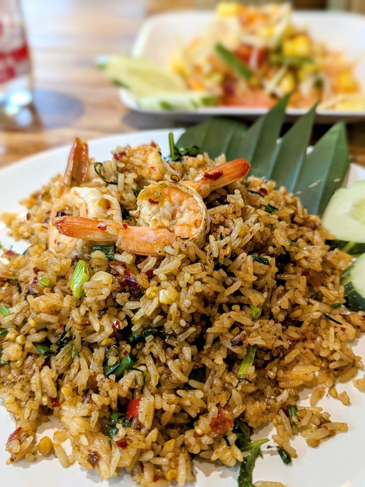 PXL_20240817_141307760.PORTRAIT~2