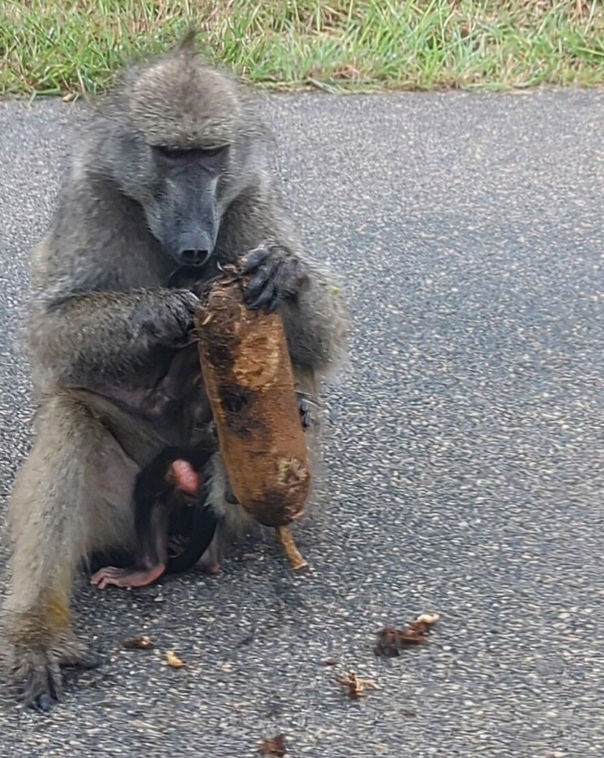 PXL_20240406_061309609_exported_0~2