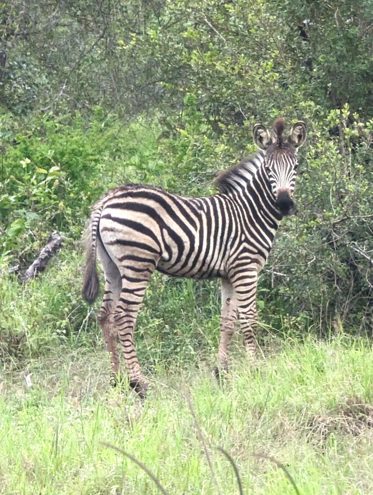 PXL_20240407_110611678