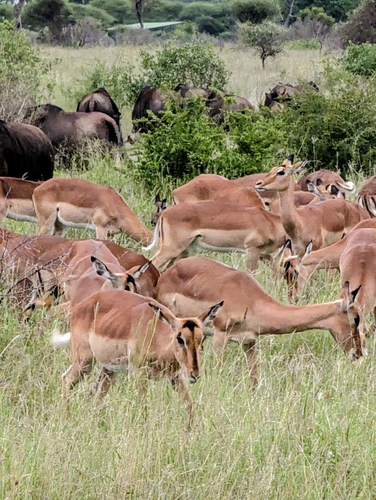 PXL_20240408_151212234~2