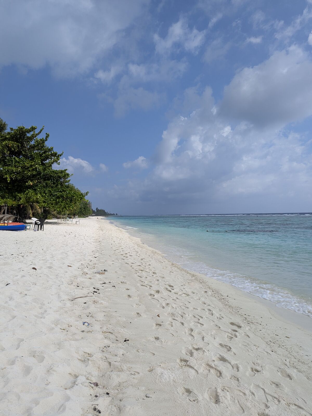 PXL_20241229_044603911