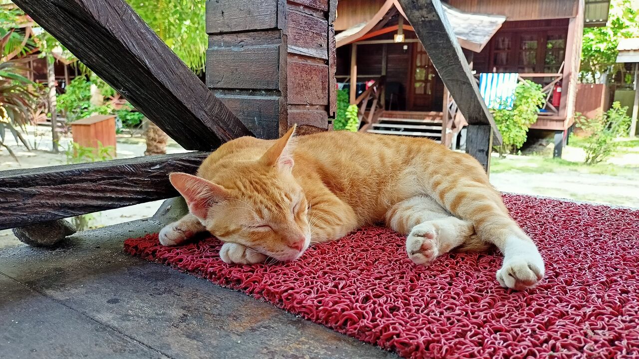 IMG20201228142930_00