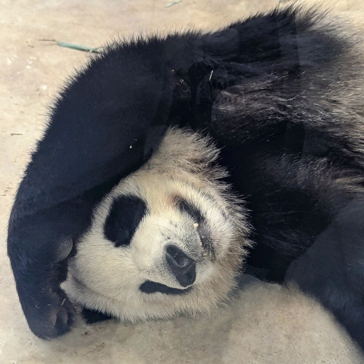 PXL_20250628_071800867~2