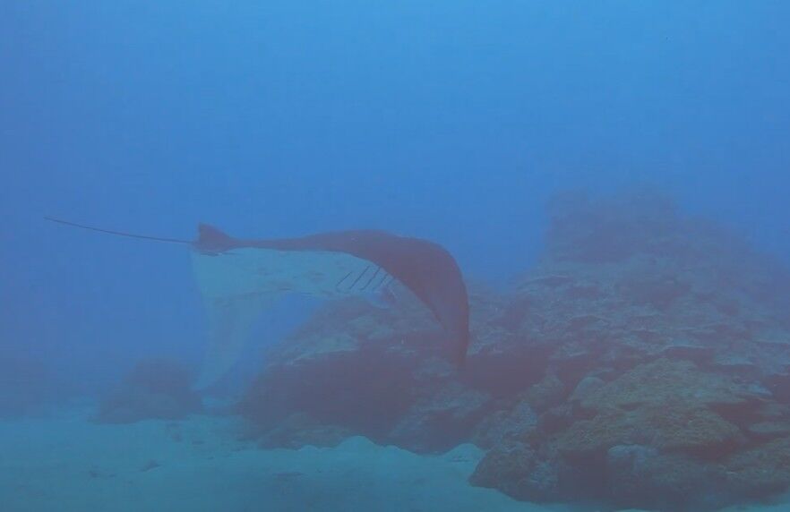 スクリーンショット 2025-01-26 141235