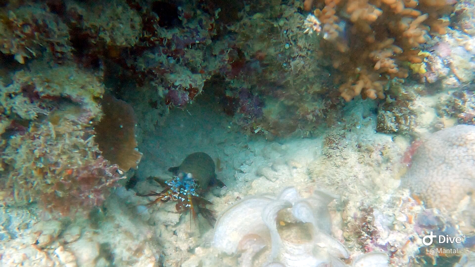 1673880359532-484026350