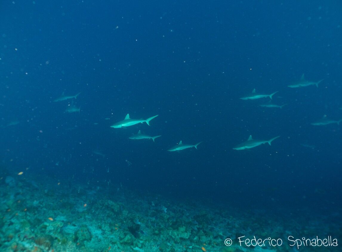 スクリーンショット 2025-01-26 142650