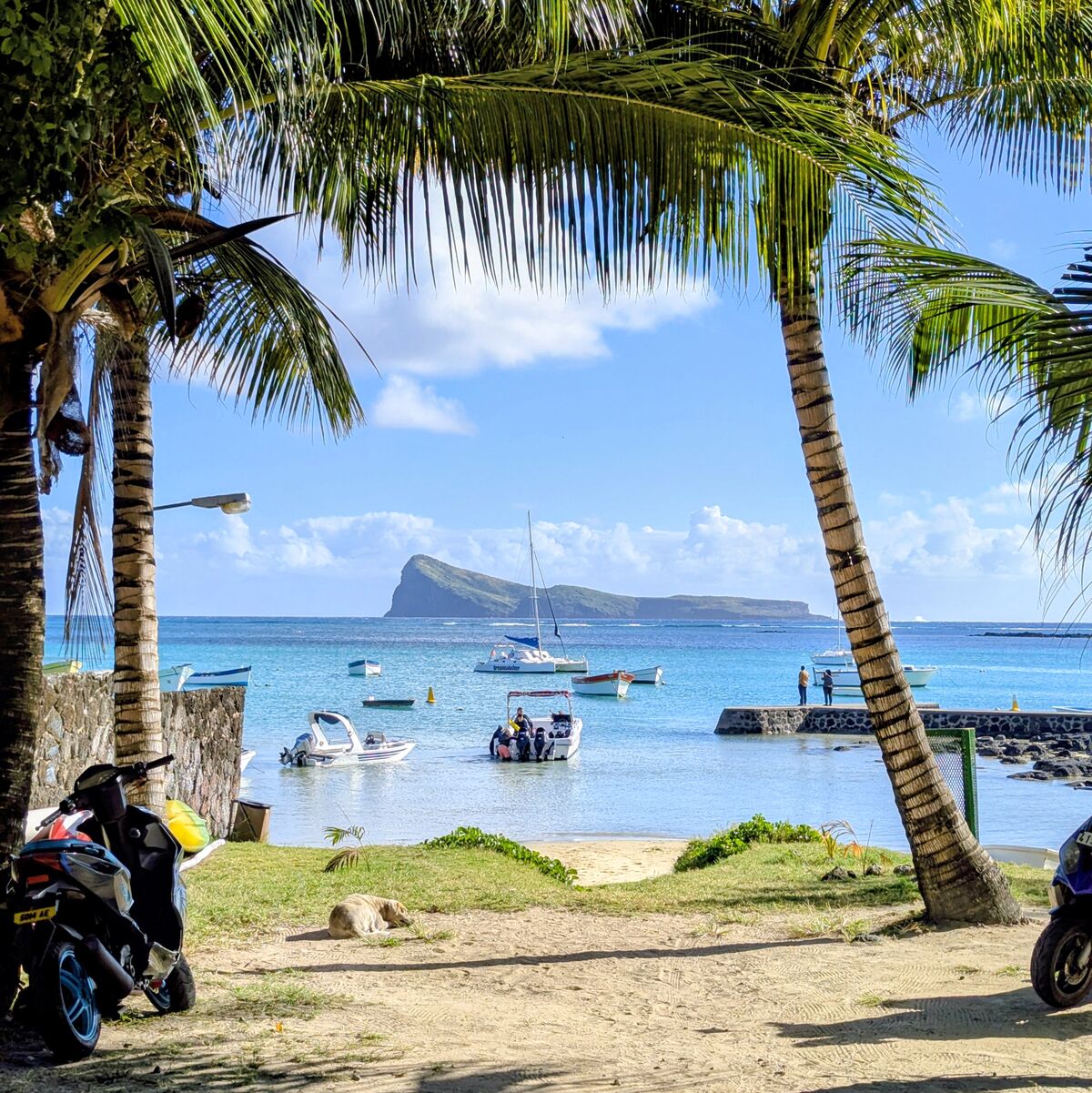 PXL_20250814_044935312~2