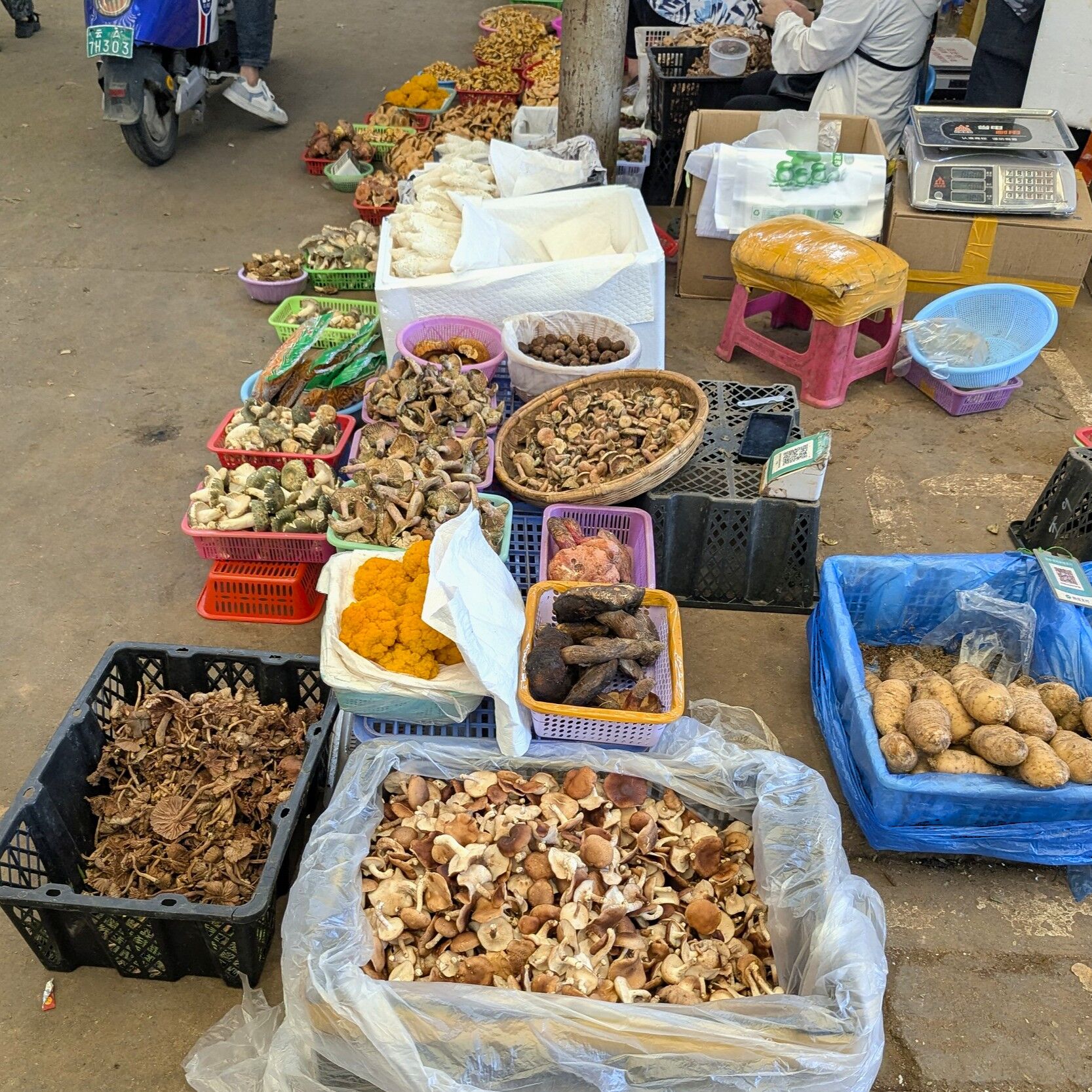 PXL_20260712_045222731