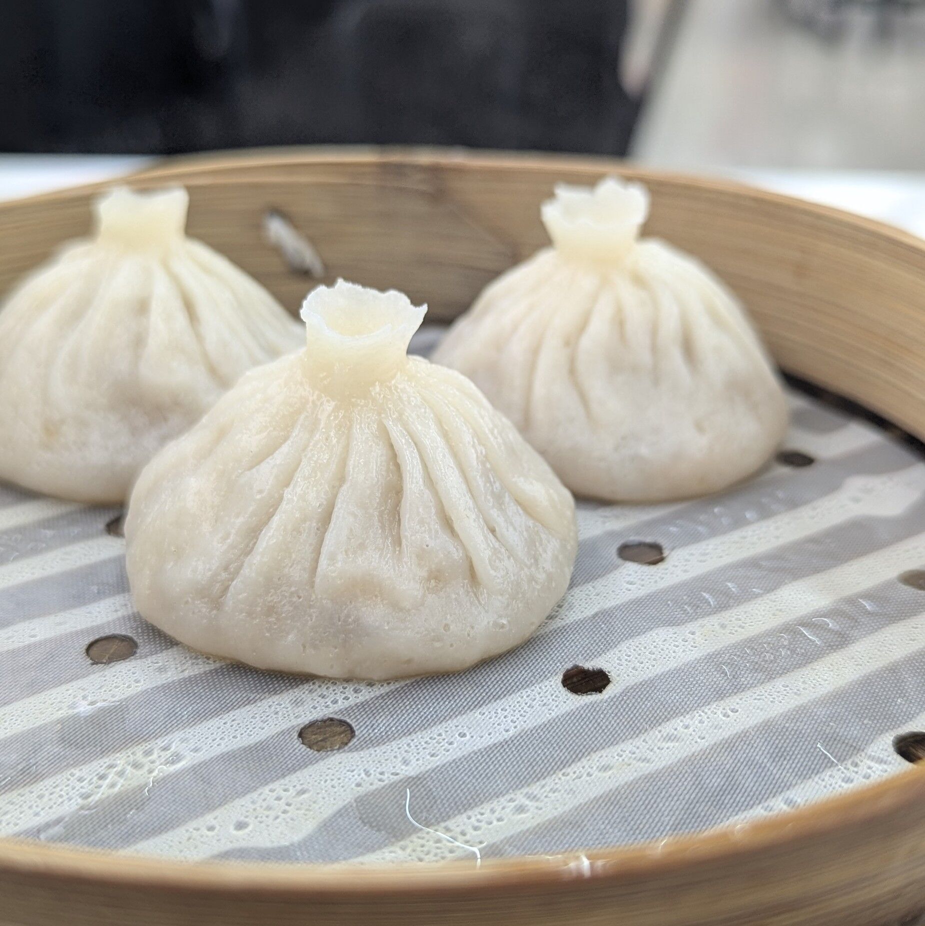 PXL_20251126_130253862.PORTRAIT.ORIGINAL~2