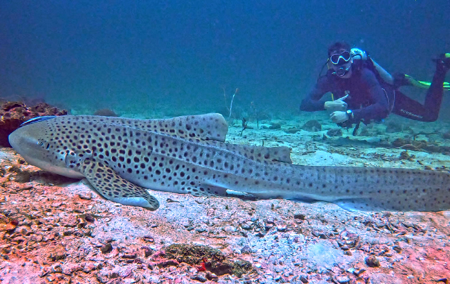 スクリーンショット 2024-05-19 150055~2