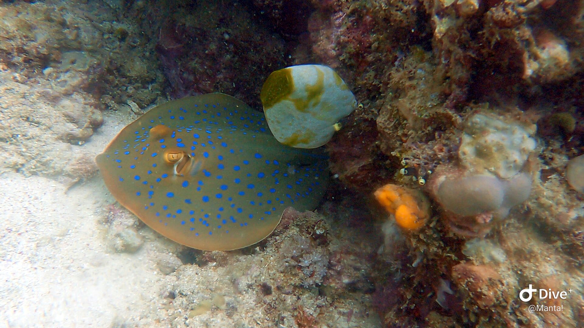 1673922816747359901529