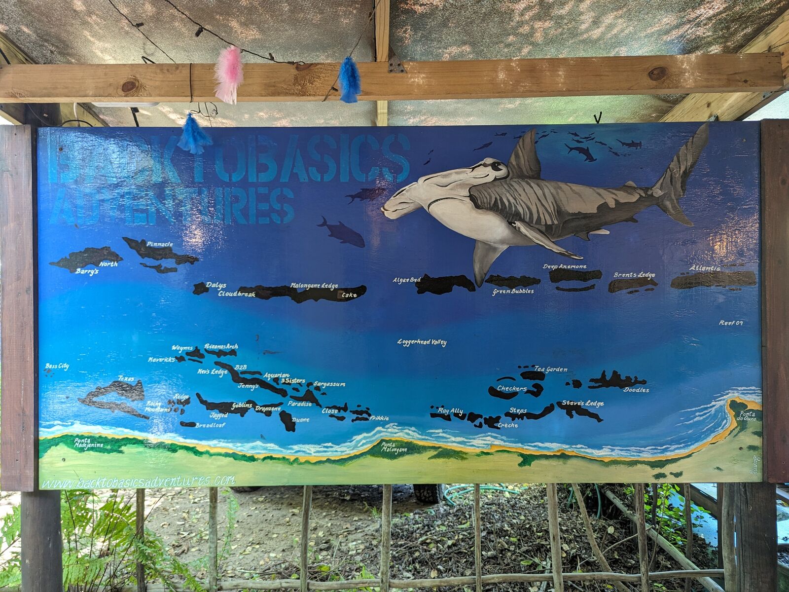 PXL_20240402_110103149