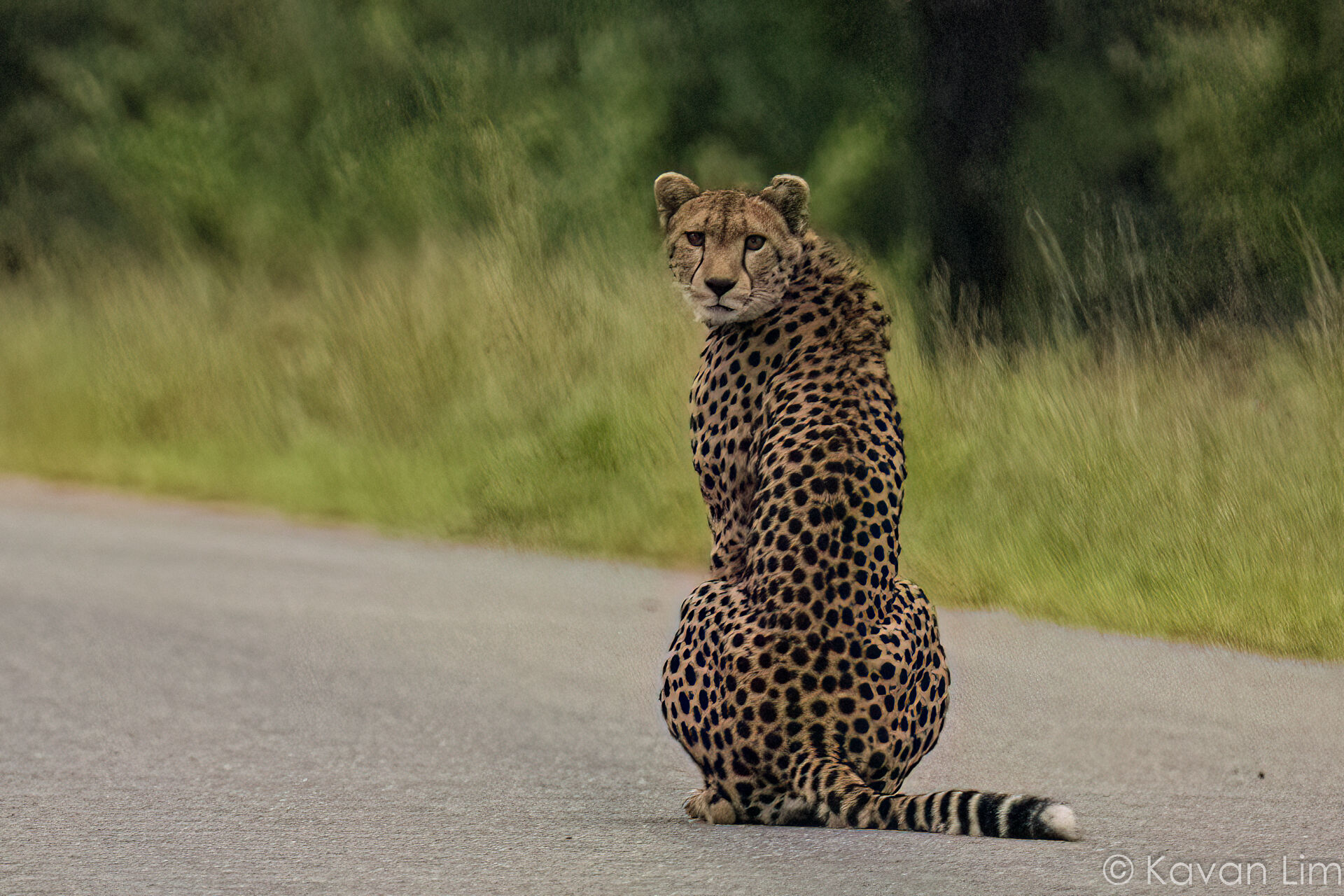Southern Africa Batch 1 (83 of 109)