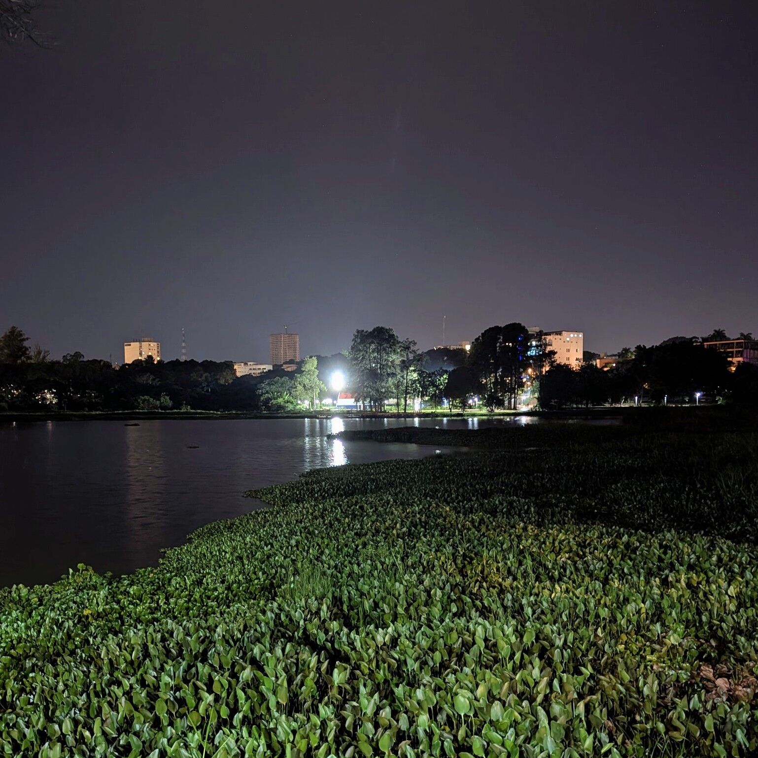 PXL_20260218_234240387.NIGHT~2