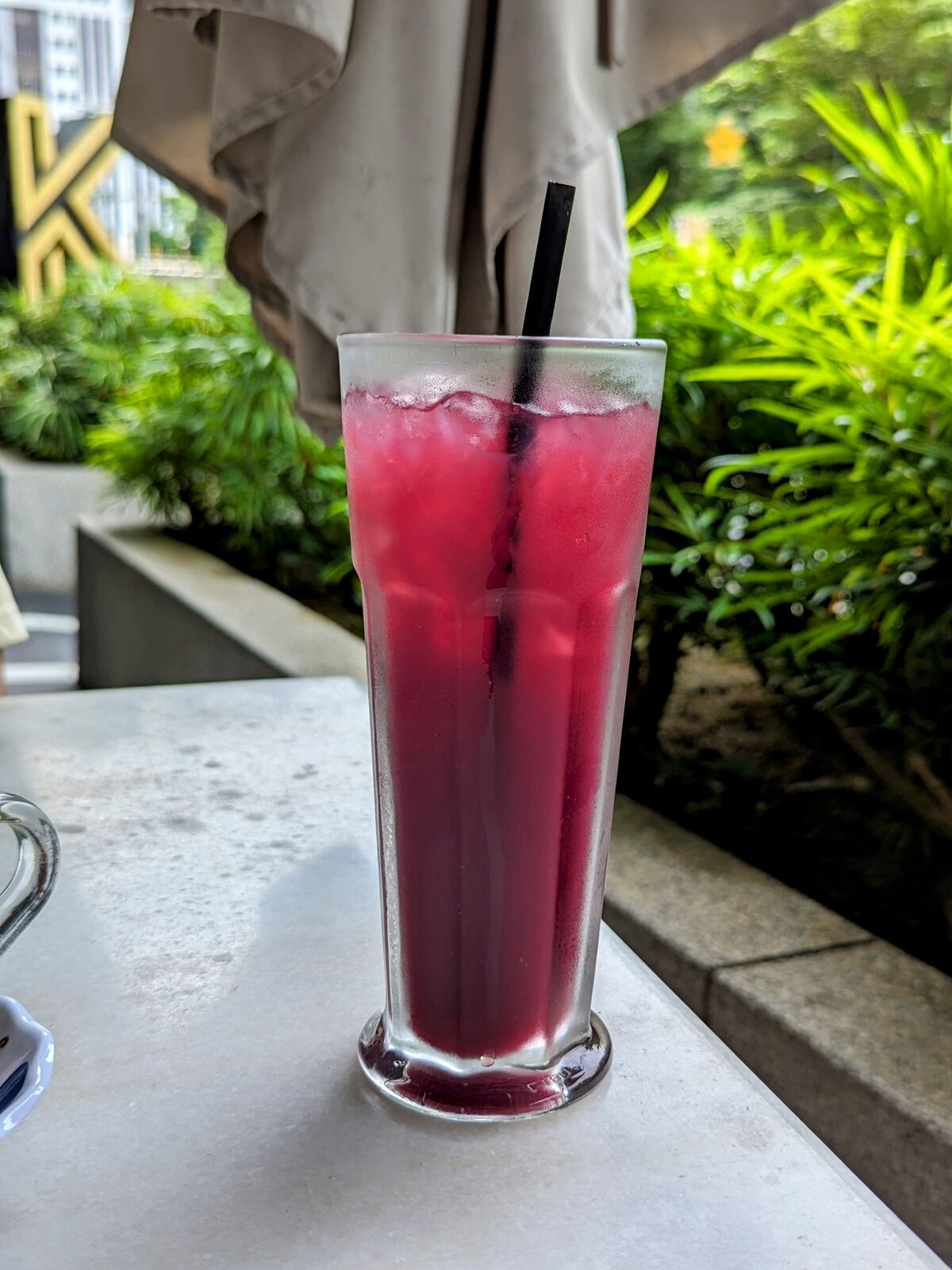 PXL_20231216_045332259.PORTRAIT.ORIGINAL~2