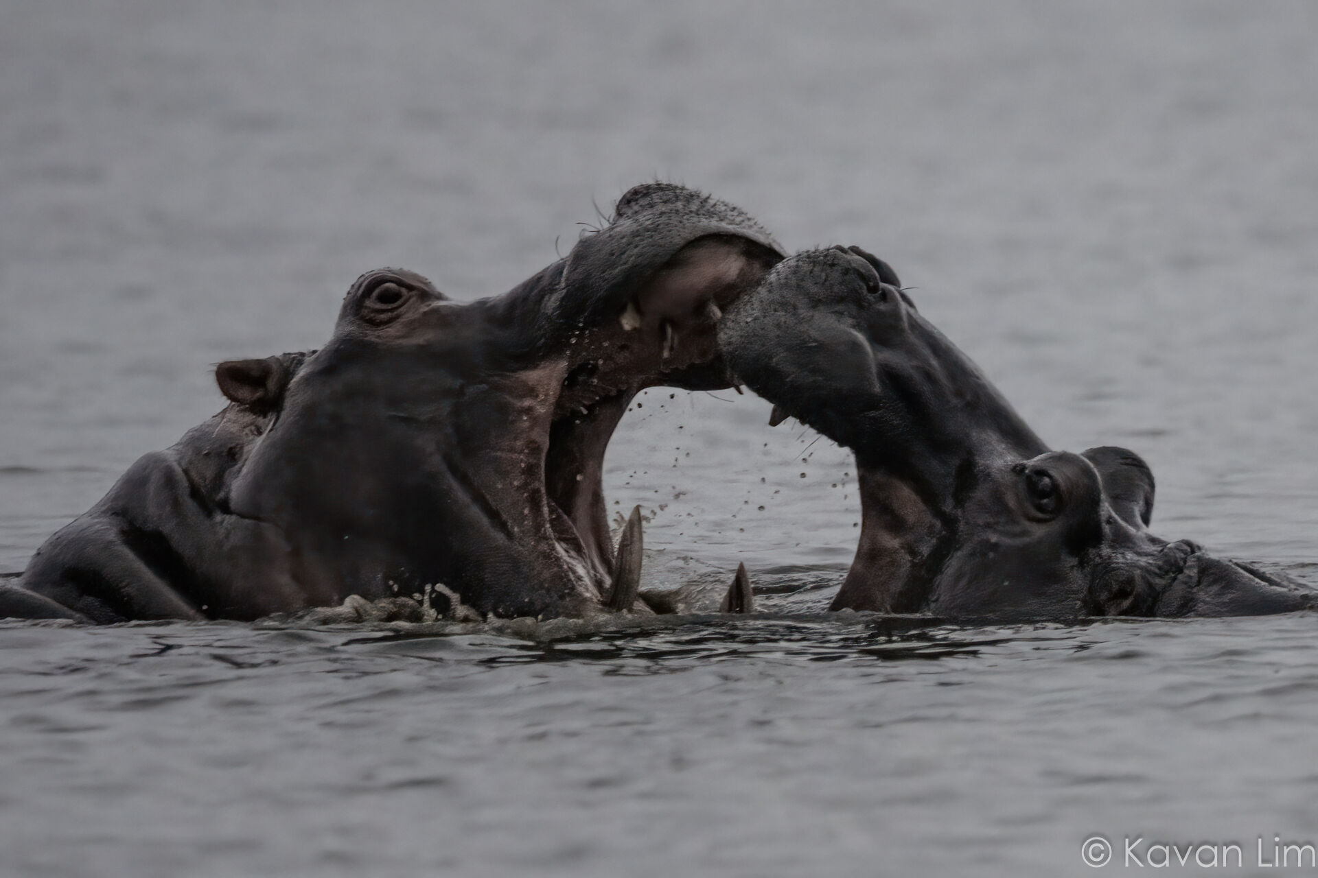 Southern Africa Batch 1 (45 of 109)