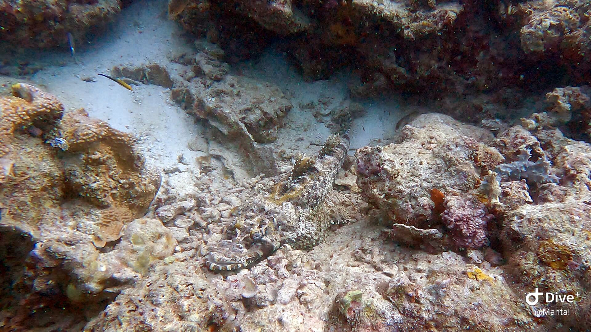 1673880327993-755145417