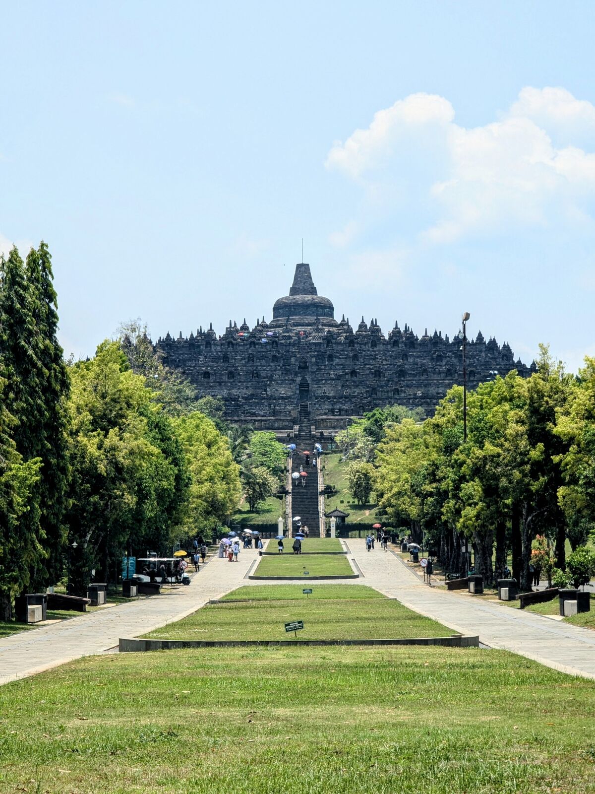 PXL_20241013_043532707~2