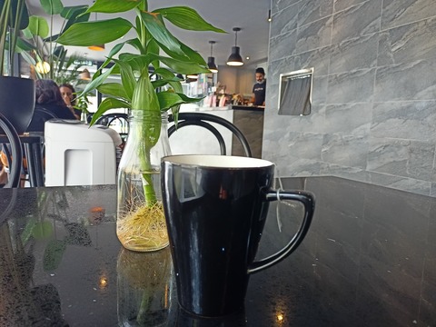 IMG20210331110702_00