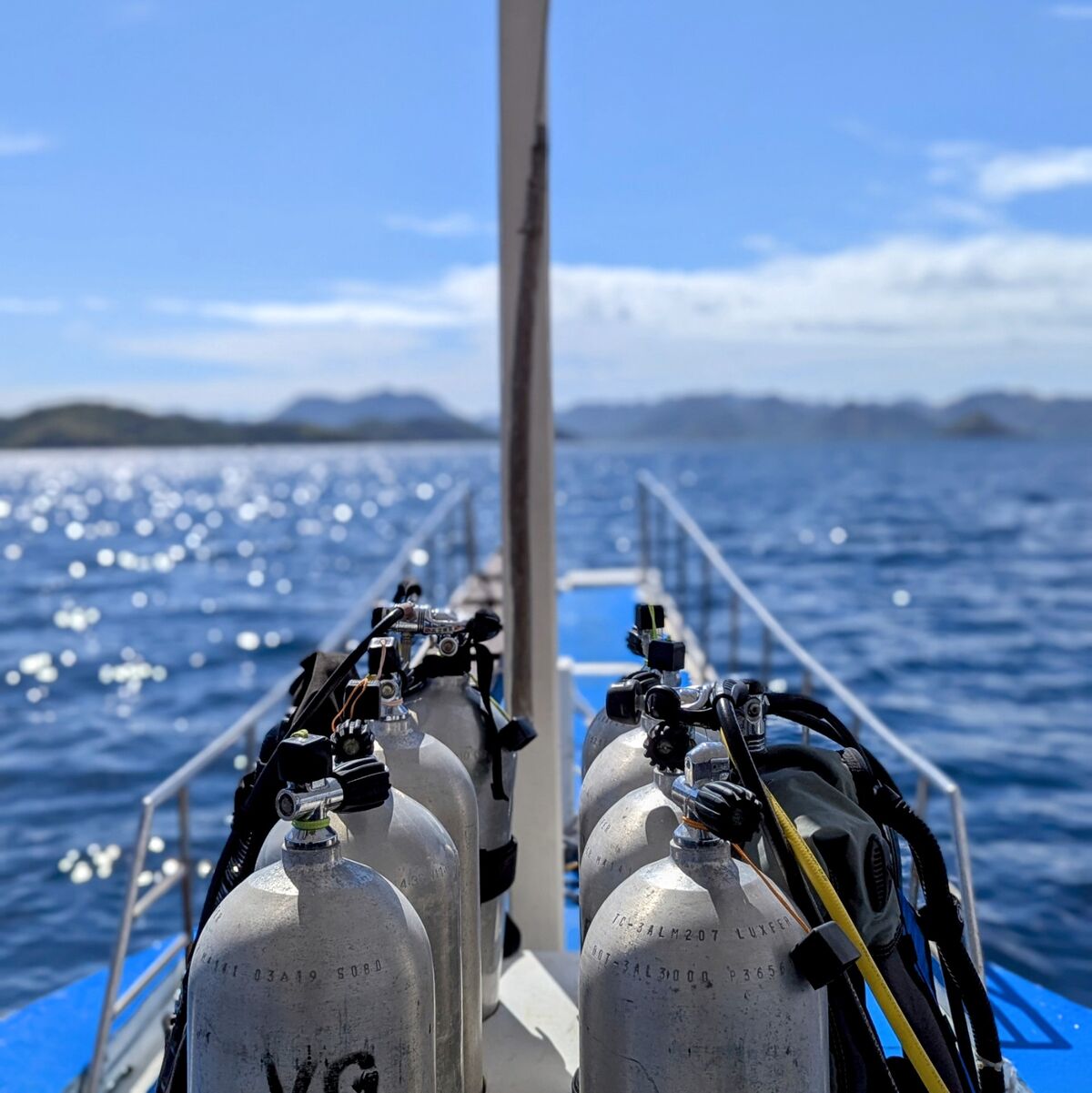 PXL_20250330_011408959.PORTRAIT~2