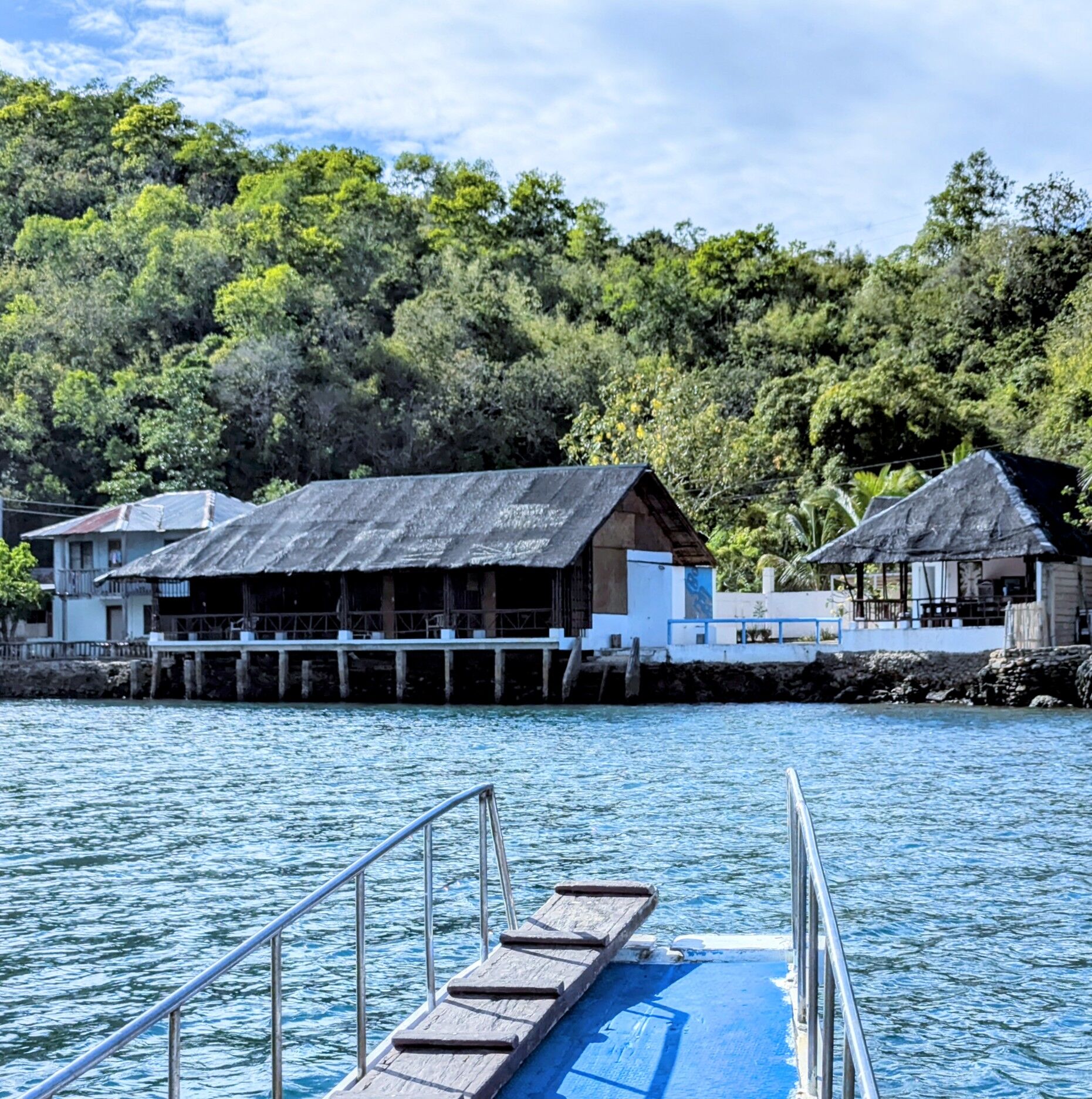 PXL_20250330_073012609~2